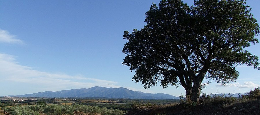 Massif des Albères