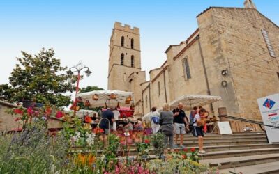 La Casa de l’Albera : découvrez un patrimoine vivant au cœur des Albères