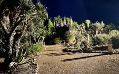 Le Jardin exotique de Ponteilla : un trésor botanique à découvrir en famille