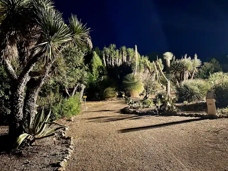 Jardin exotique de ponteilla