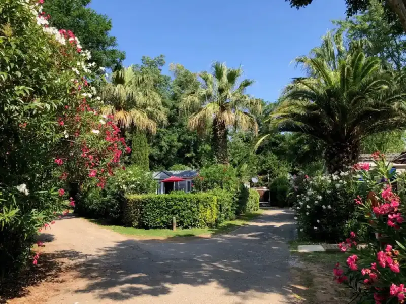 Visite Jardin jardin des plantes saint cyprien